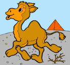 Dibujo Camello pintado por analucia