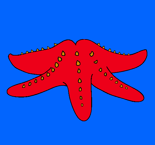 Estrella de mar