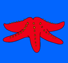 Dibujo Estrella de mar pintado por agu