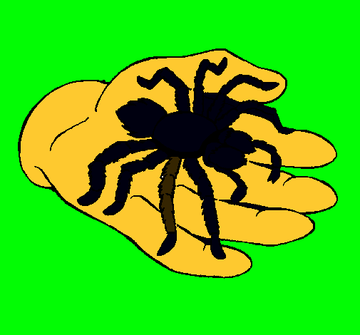 Tarántula