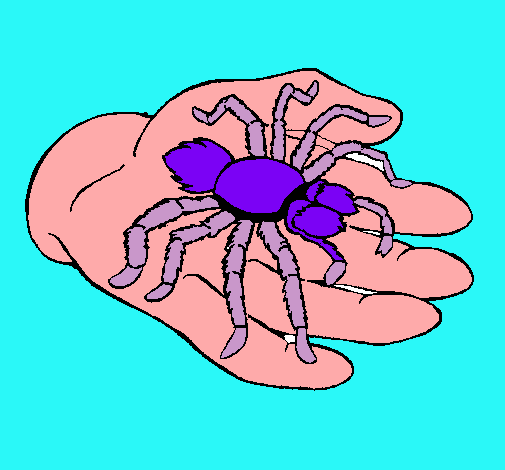 Tarántula