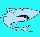 Dibujo Tiburón pintado por SANTI2