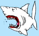 Dibujo Tiburón pintado por luisalejandro