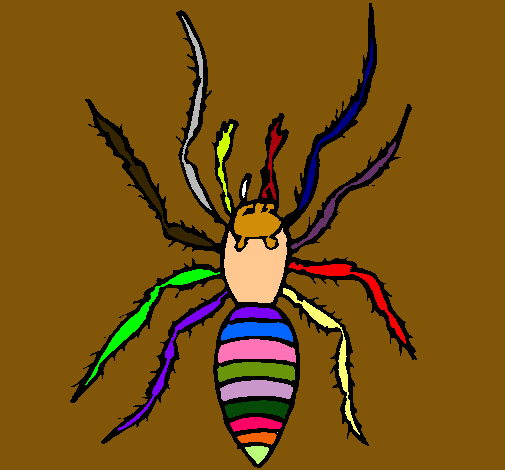 Araña tigre