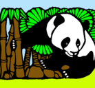 Dibujo Oso panda y bambú pintado por frida