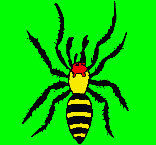 Araña tigre