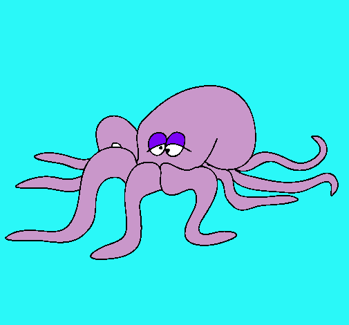 Pulpo