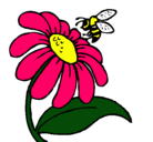 Dibujo Margarita con abeja pintado por kiara