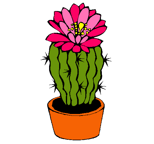 Cactus con flor