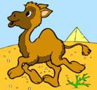 Dibujo Camello pintado por lindisimo