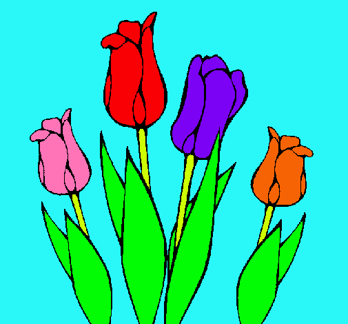 Tulipanes