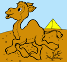Dibujo Camello pintado por michelle