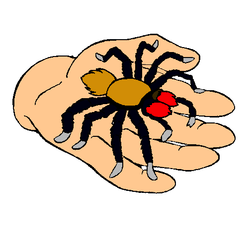 Tarántula