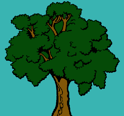 Árbol