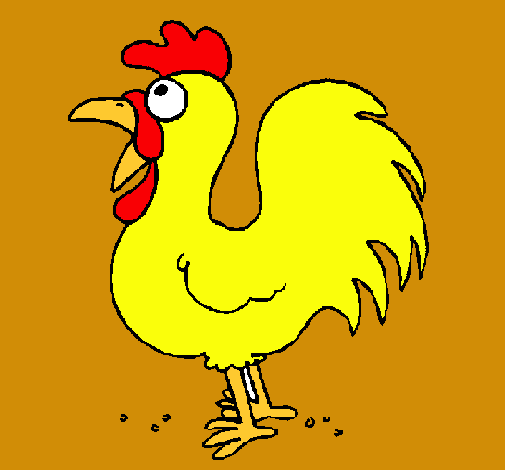 Gallo de granja