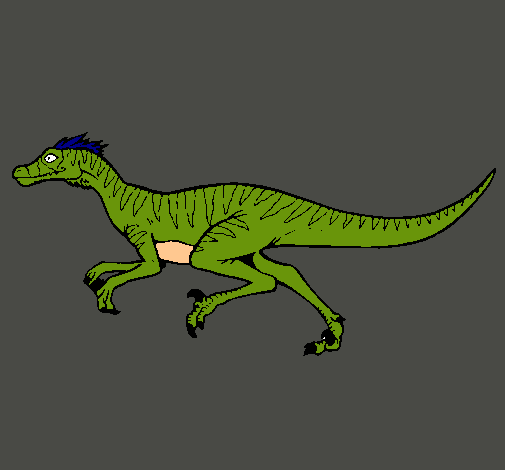 Velociraptor