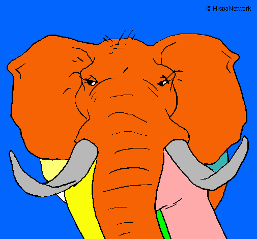 Elefante africano