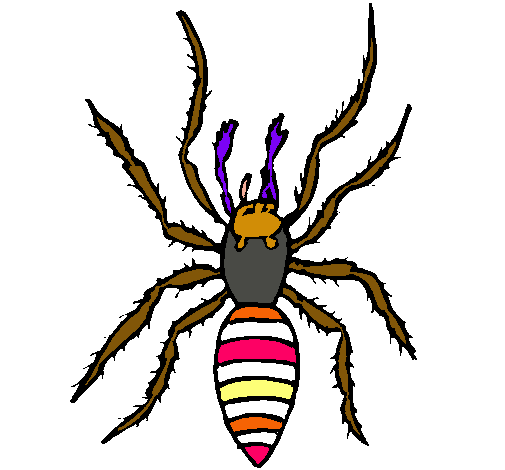 Araña tigre