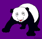 Dibujo Oso panda pintado por roselis