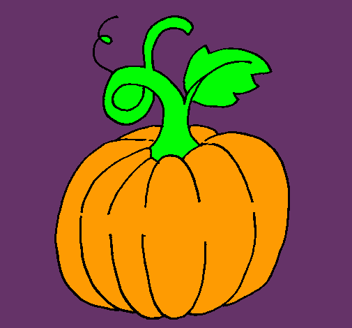 Calabaza