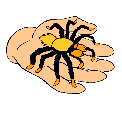 Tarántula