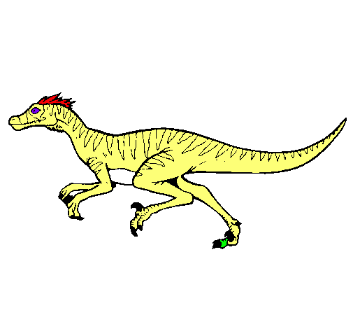 Velociraptor