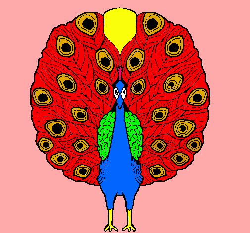 Pavo real