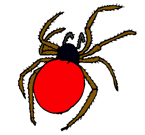 Araña venenosa