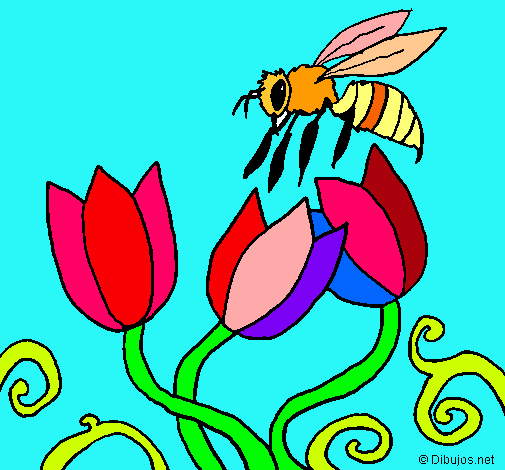 Abeja