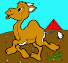 Dibujo Camello pintado por yahir