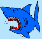 Dibujo Tiburón pintado por marconi