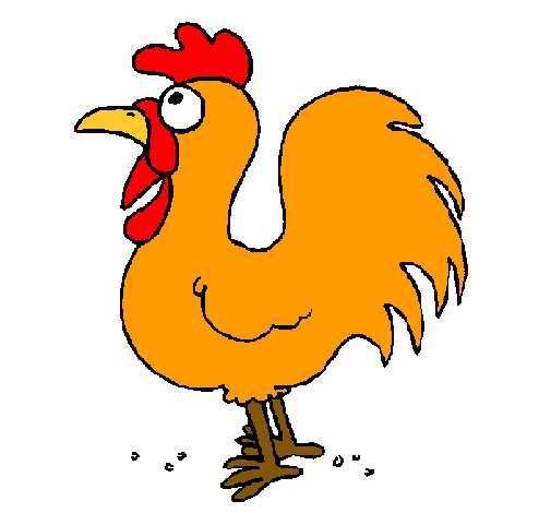 Gallo de granja