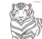 Dibujo Tigre pintado por taz