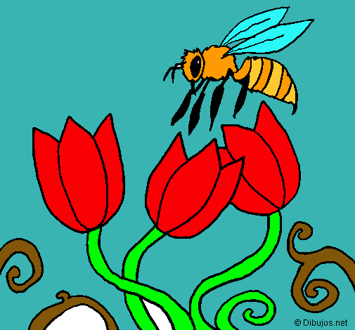 Abeja