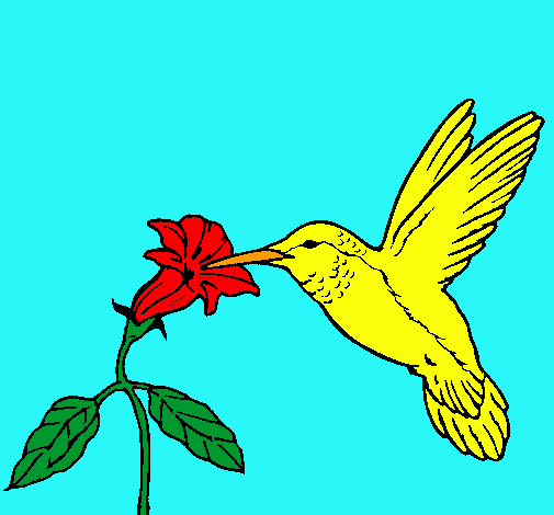 Colibrí y una flor