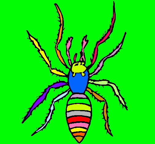 Araña tigre