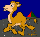 Dibujo Camello pintado por alejandro