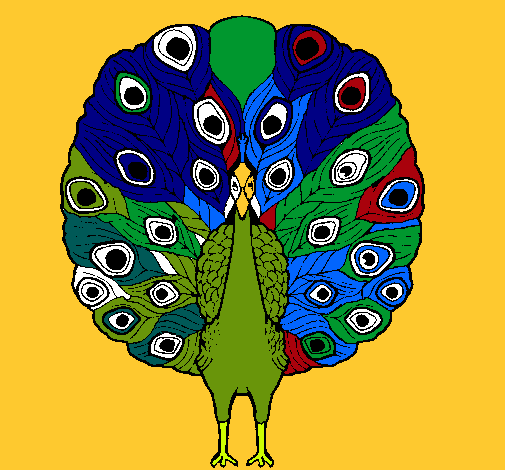 Pavo real