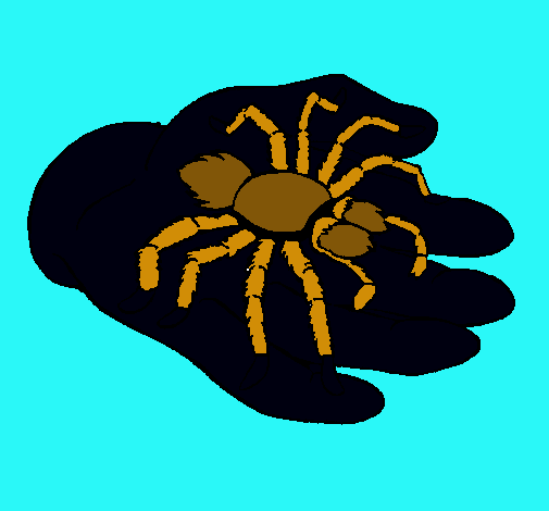 Tarántula