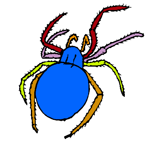 Araña venenosa