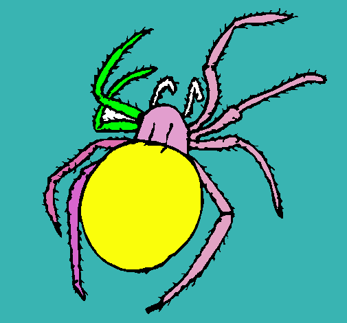 Araña venenosa