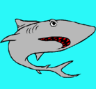 Dibujo Tiburón pintado por gotcila