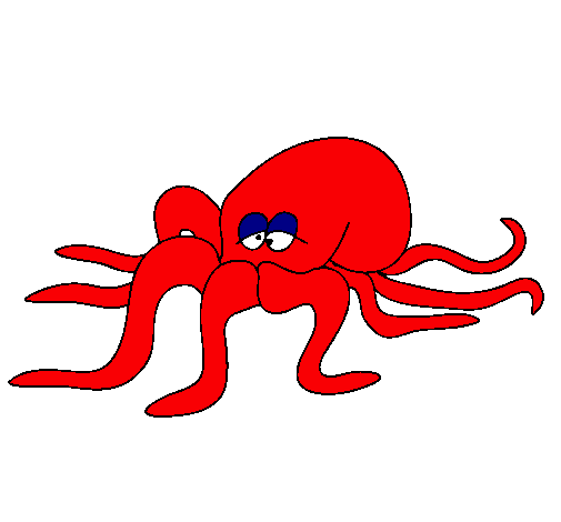 Pulpo