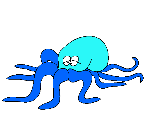 Pulpo