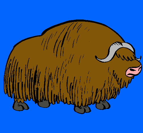 Bisonte