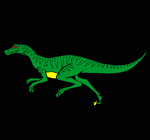 Velociraptor