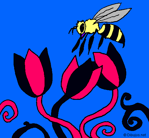 Abeja