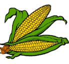Dibujo Mazorca de maíz pintado por sergio