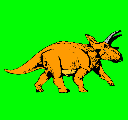 Triceratops