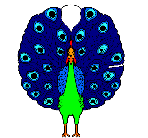 Pavo real